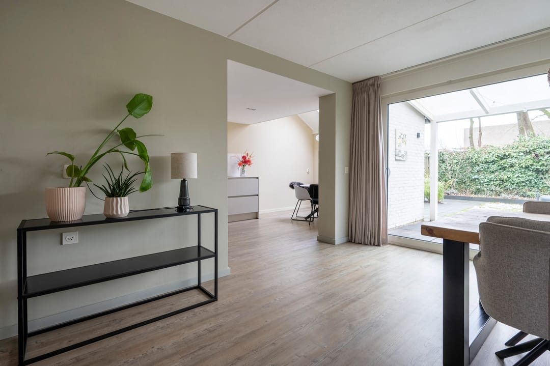 Foto 11 van Steenuil 81