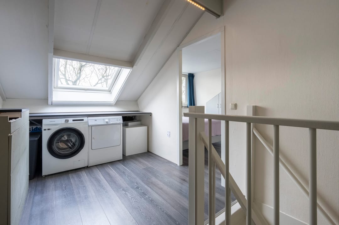 Foto 28 van Steenuil 81