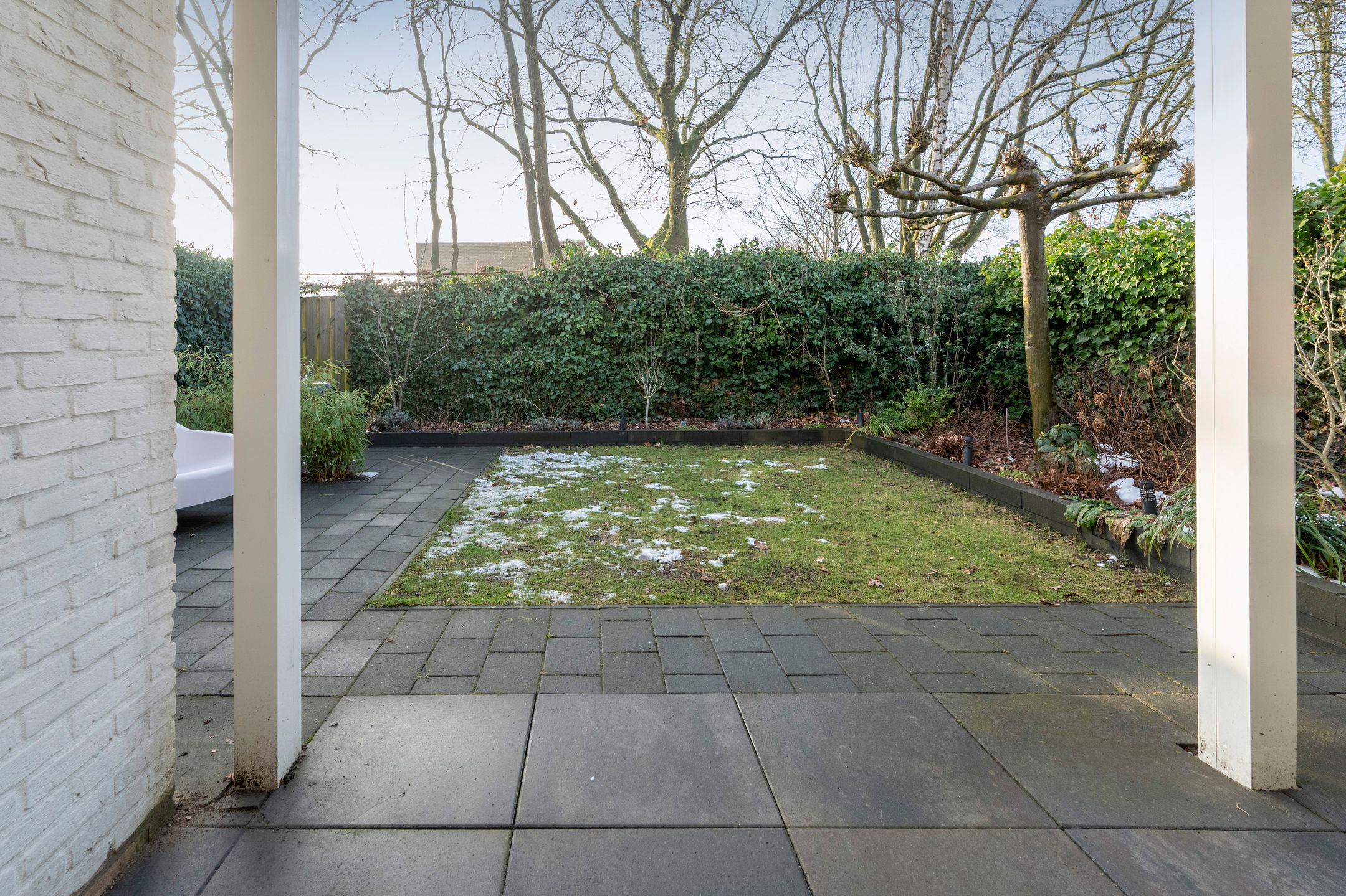 Foto 30 van Steenuil 81