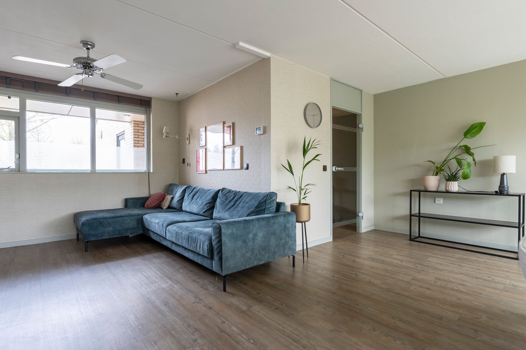 Foto 3 van Steenuil 81