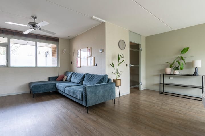 Foto 3 van Steenuil 81