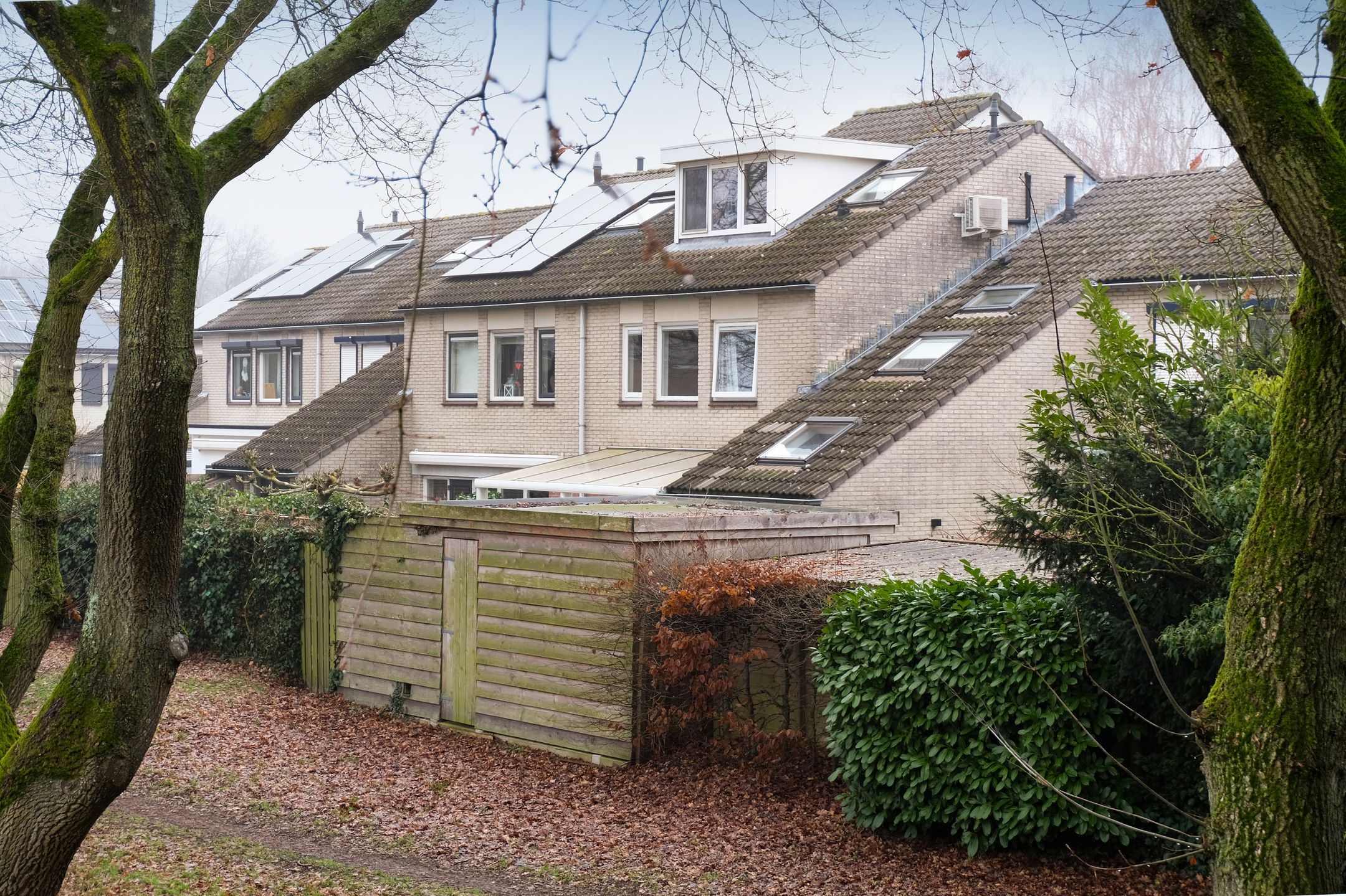 Foto 33 van Steenuil 81