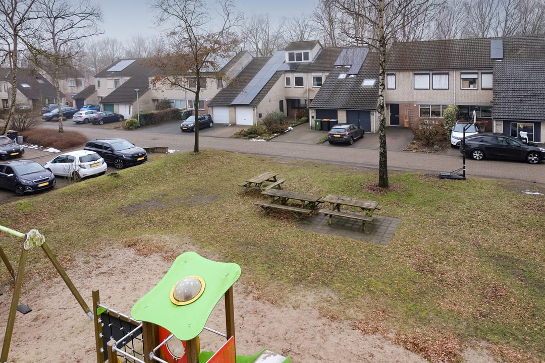 Foto 37 van Steenuil 81