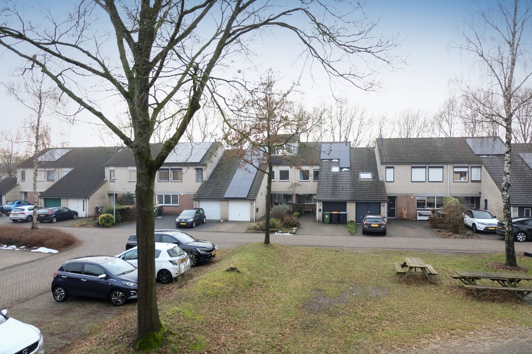 Foto 38 van Steenuil 81