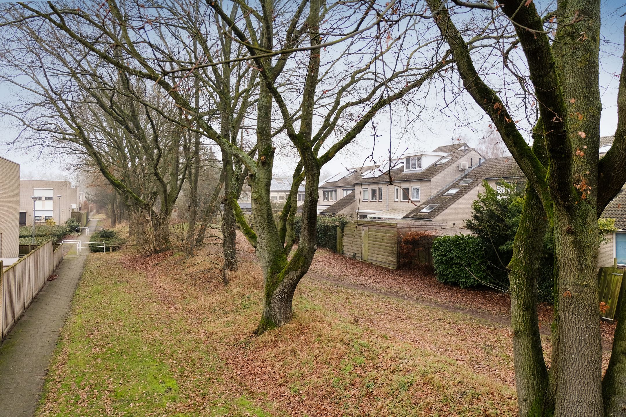 Foto 39 van Steenuil 81