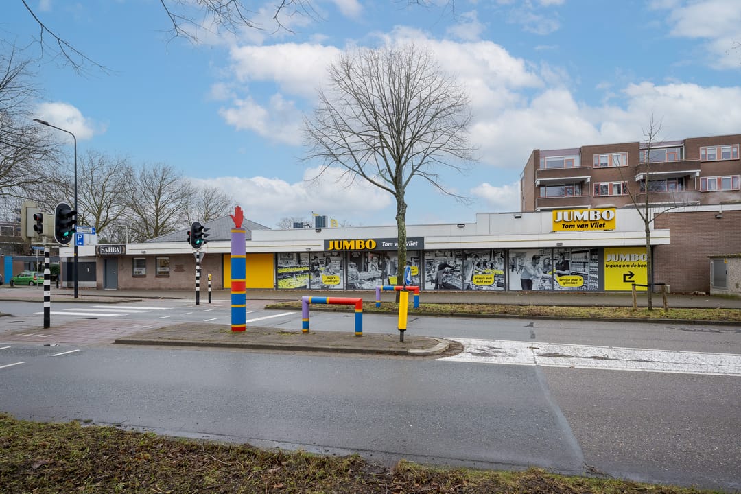 Photo 31 of Aletta Jacobsplantsoen 102