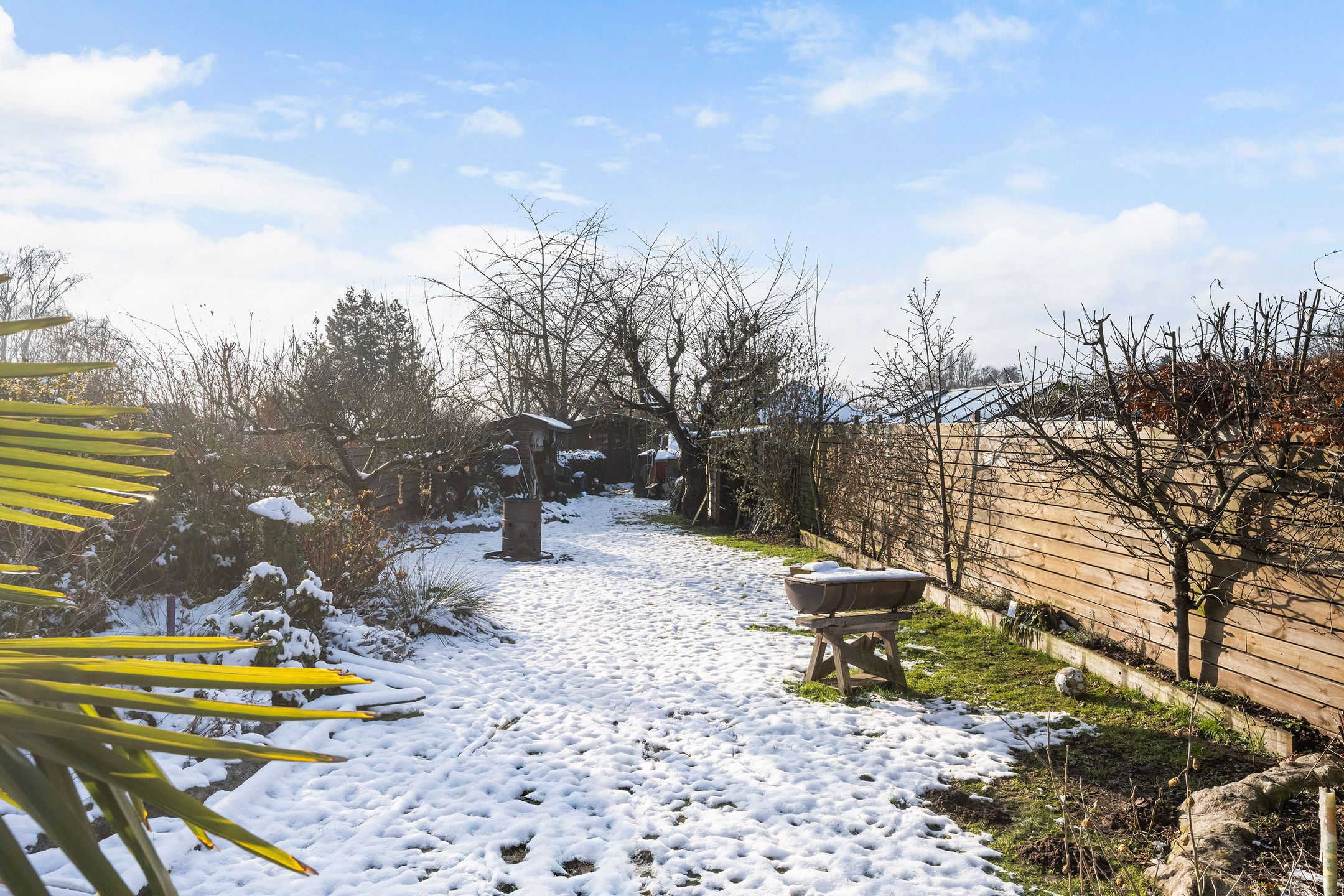 Foto 33 van Beukenallee 69