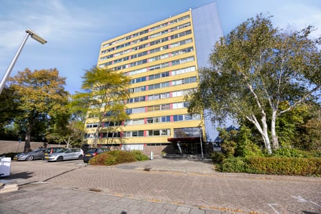 Boeierstraat 253 secondary image