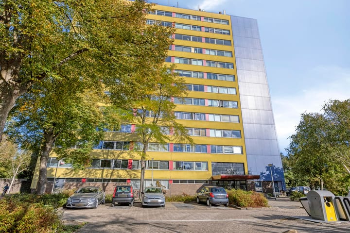 Foto 5 van Boeierstraat 253