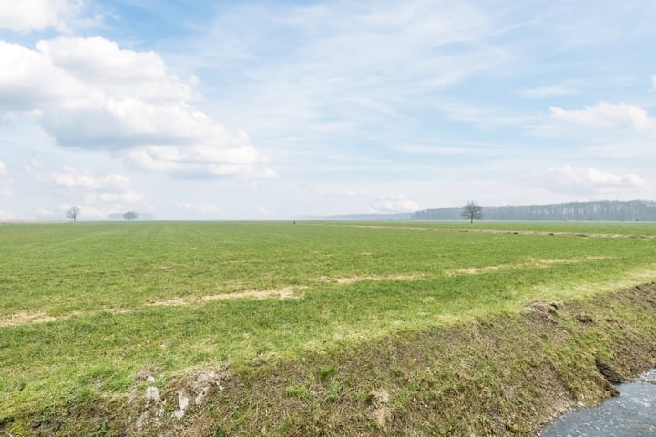 Foto 53 van Schoolstraat 1