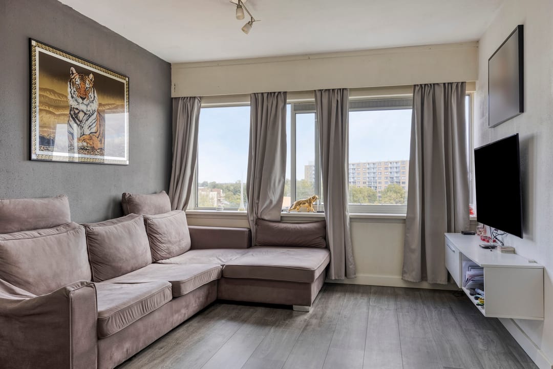 Foto 1 van Boeierstraat 253