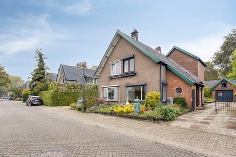 Dennenkamp thumbnail