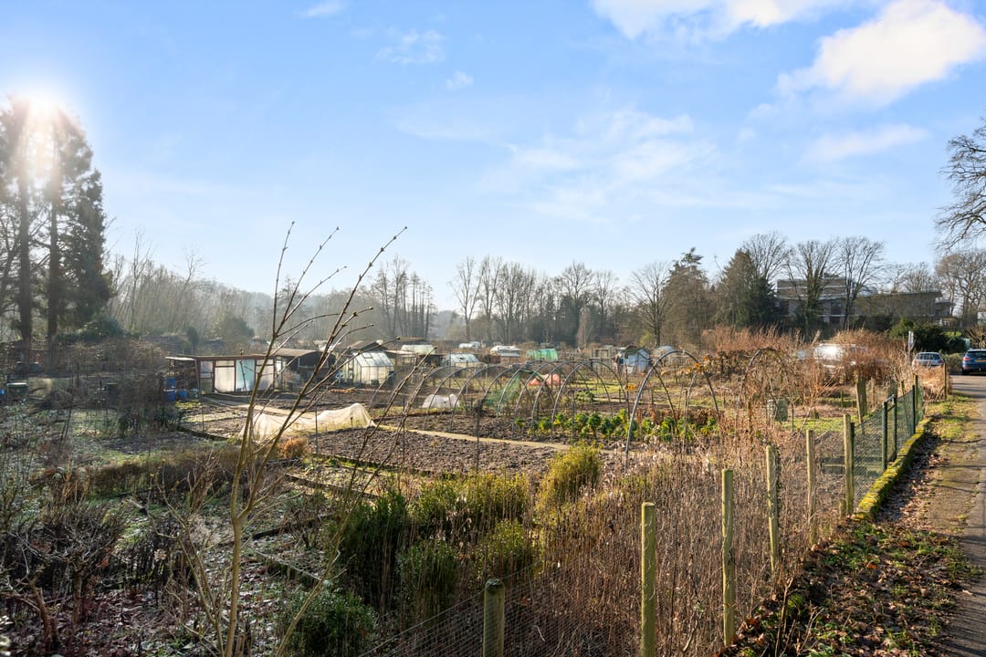 Photo 8 of Utrechtseweg 38