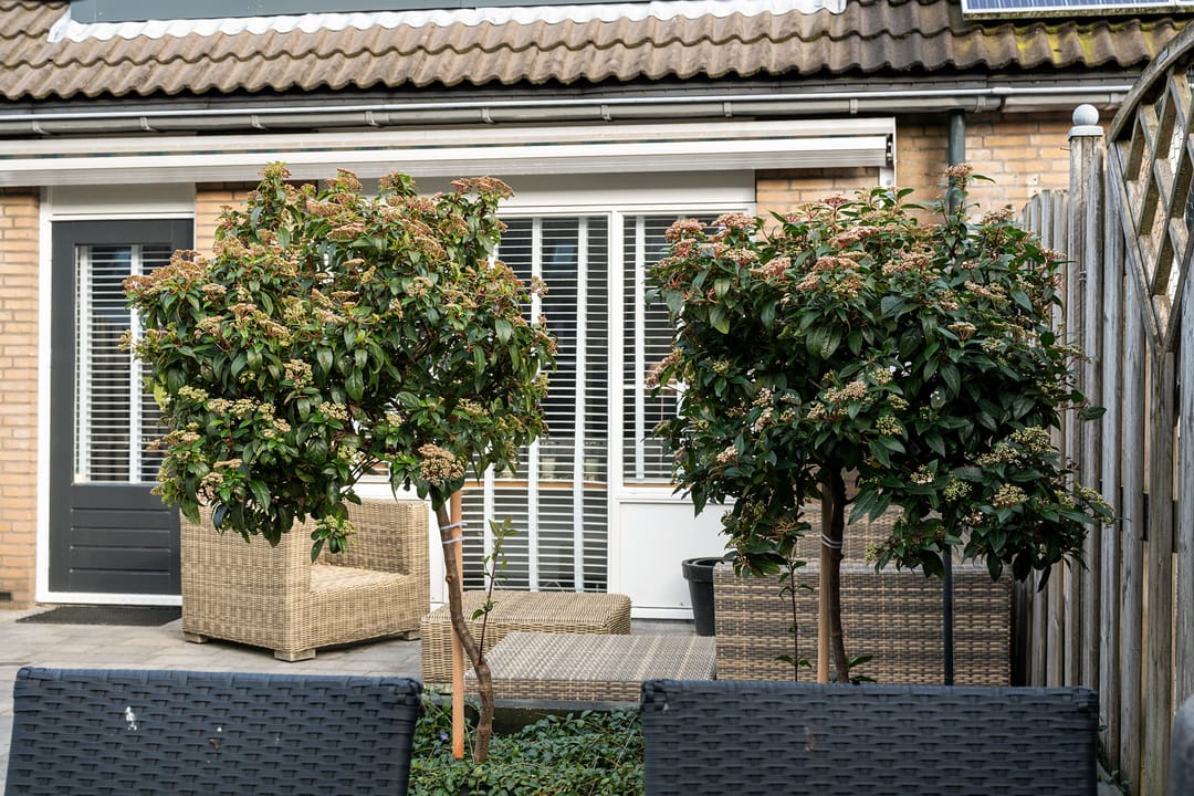 Foto 26 van Bijhouwerlommer 35