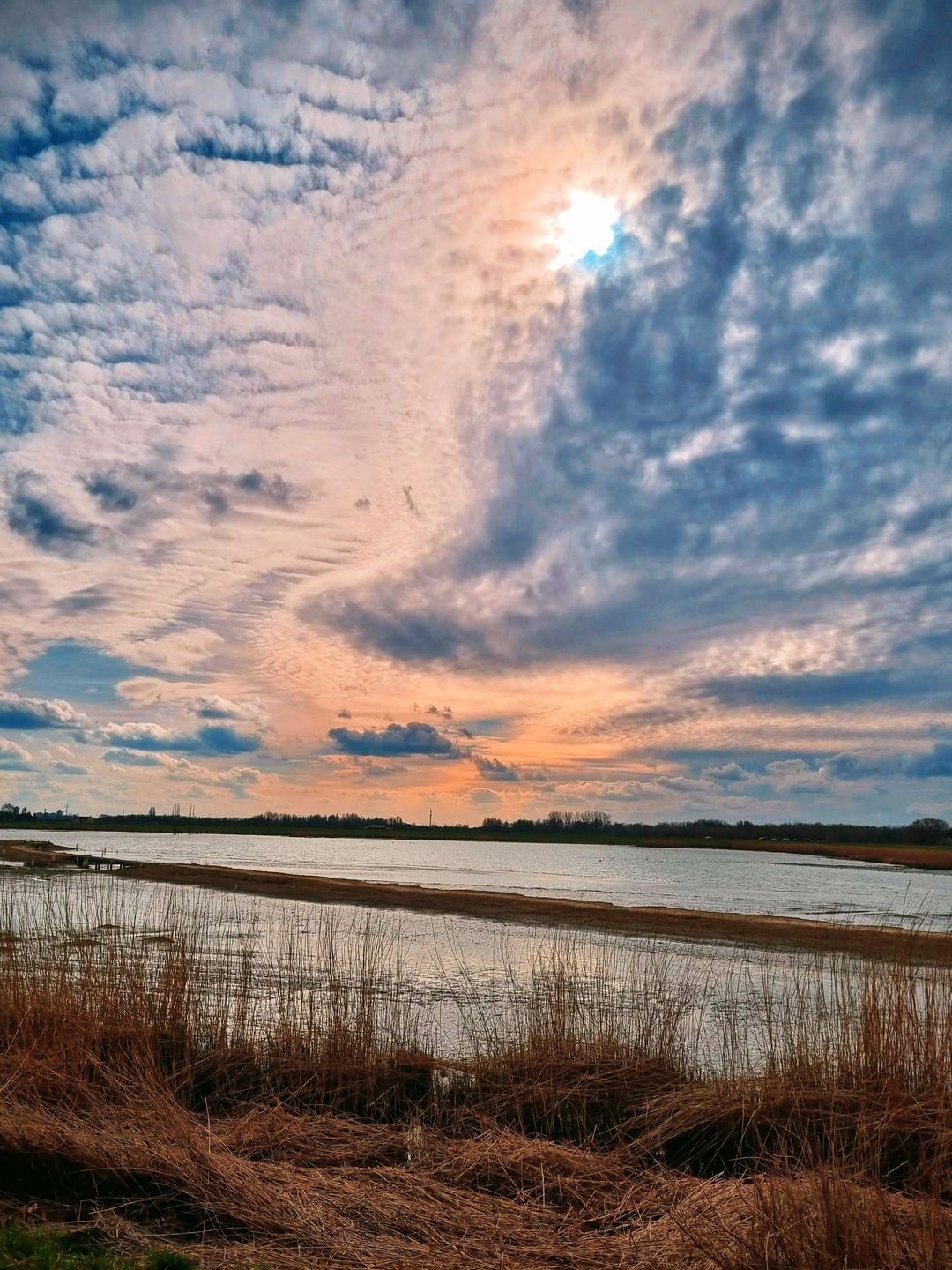 Photo 52 of Drierivierenlaan 93