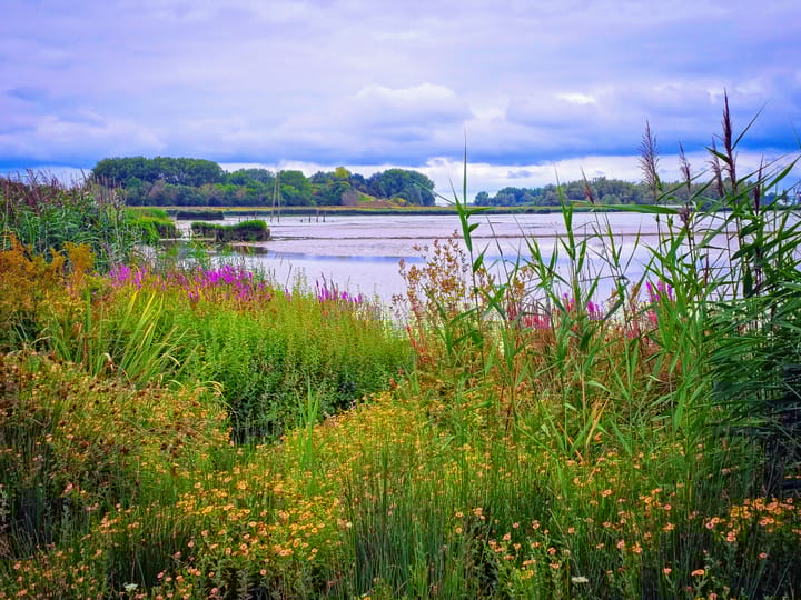 Foto 57 van Drierivierenlaan 93