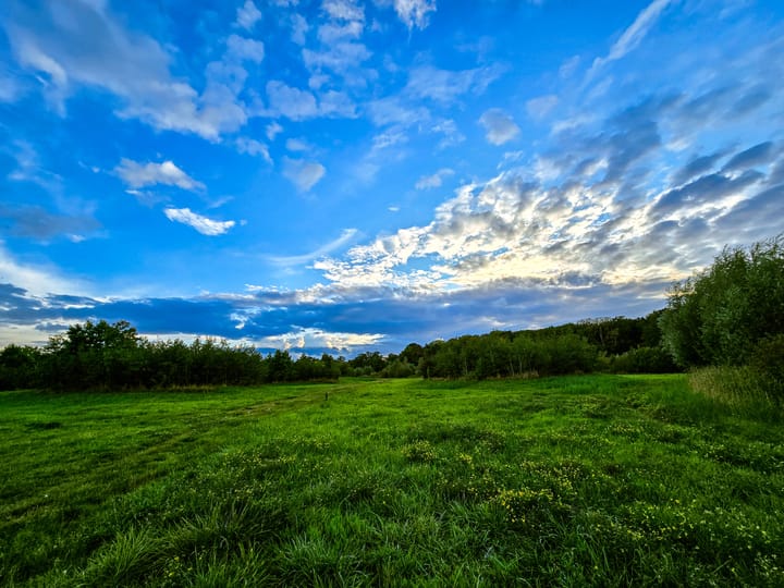 Foto 58 van Drierivierenlaan 93