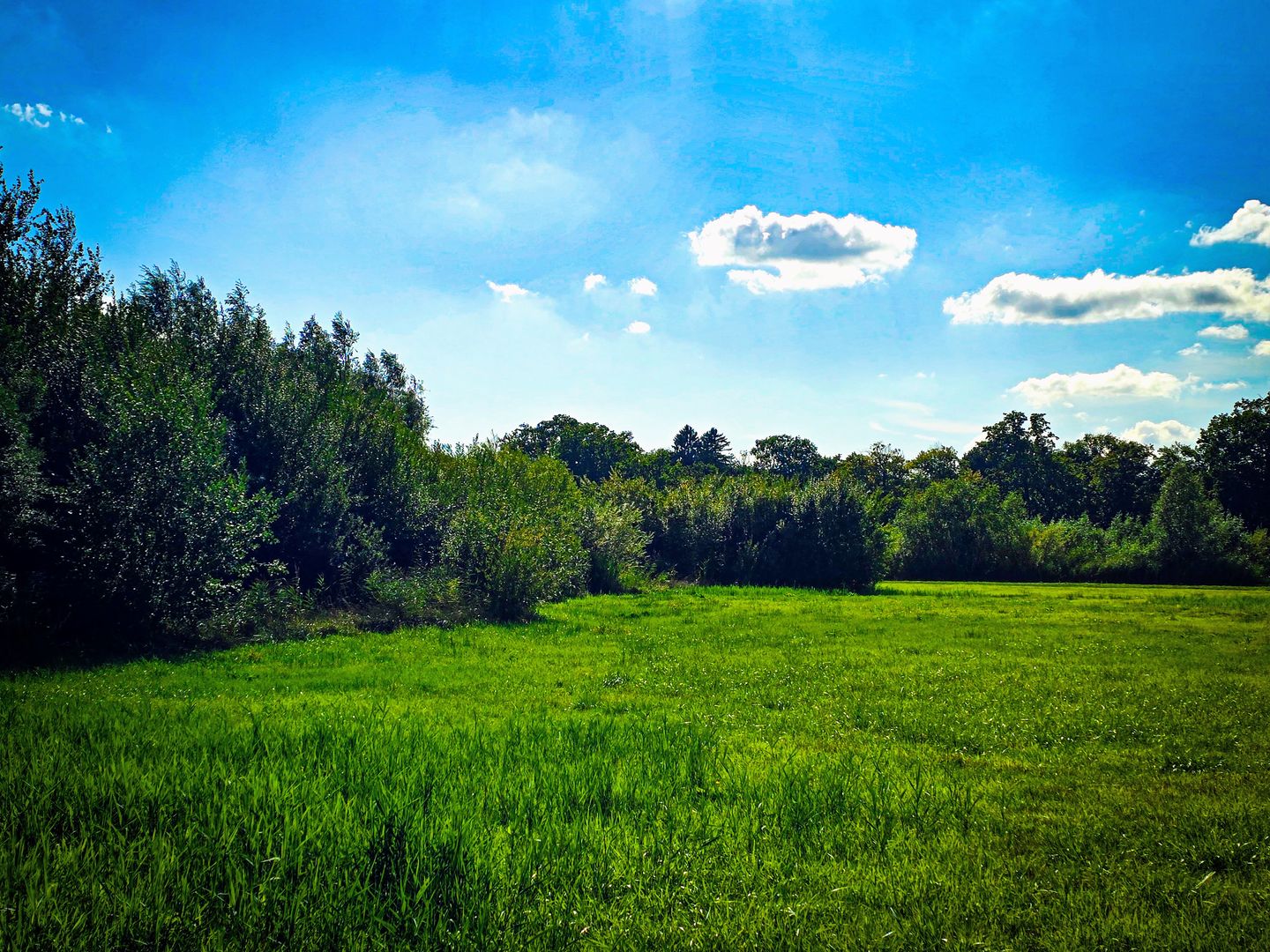 Photo 55 of Drierivierenlaan 93