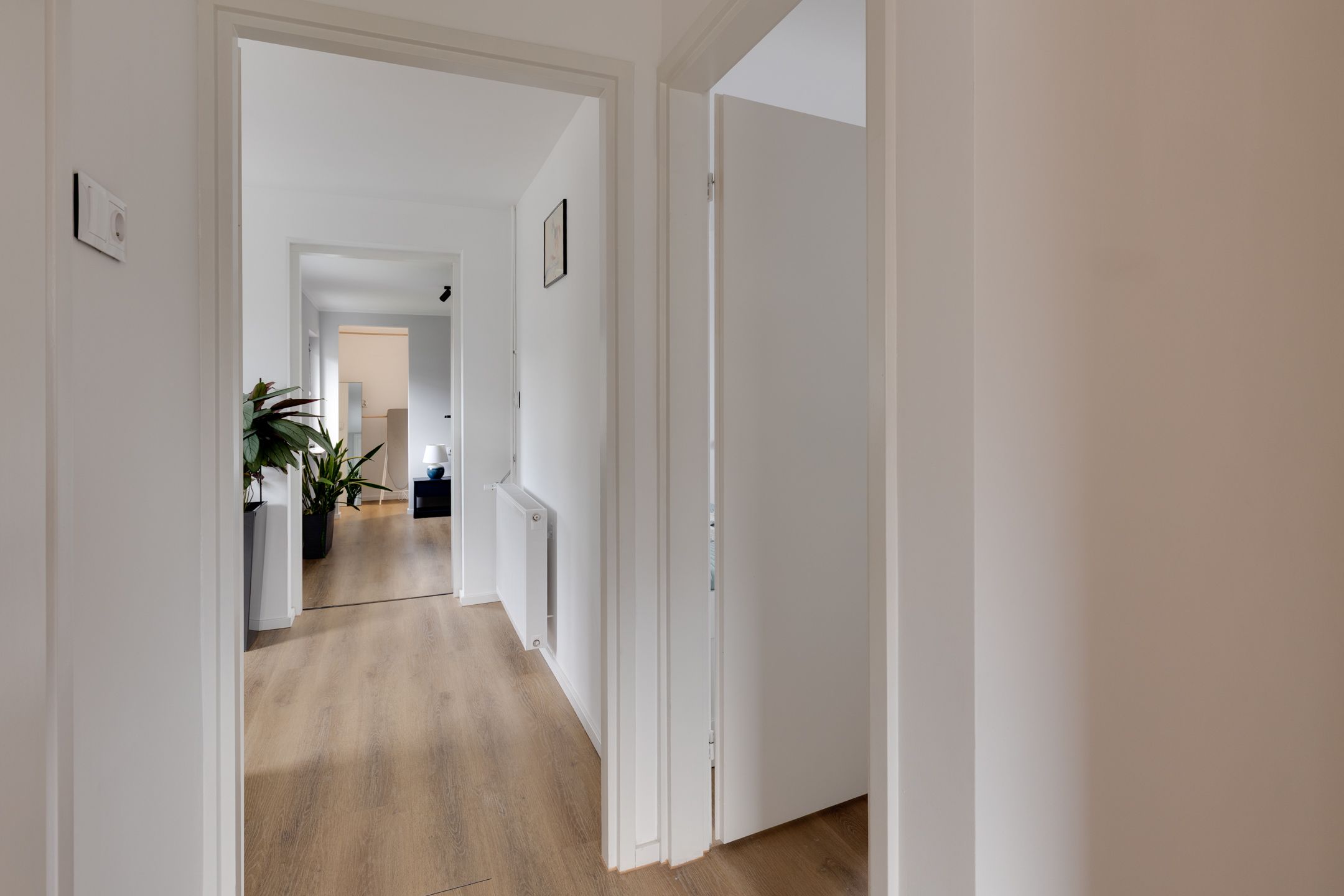 Photo 18 of Burgemeester Goldbergstraat 12