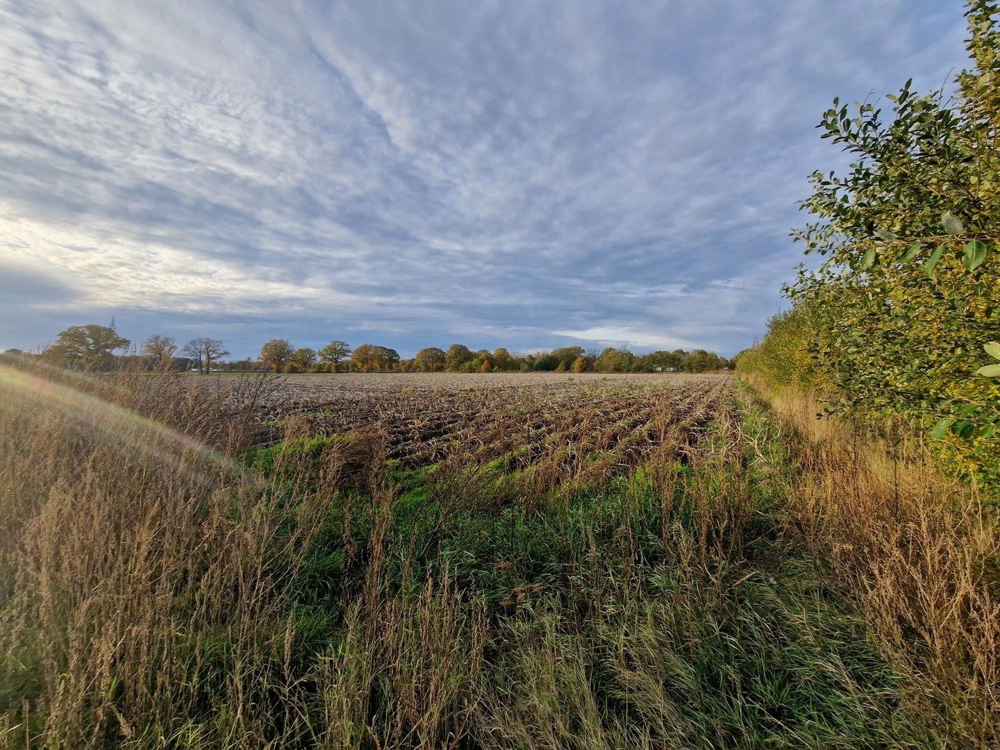 Bekijk foto 5 van Peeldijk