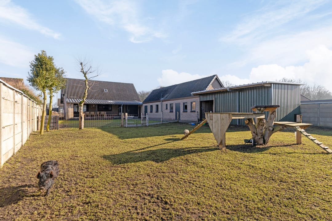 Foto 2 van Schapendreef 23