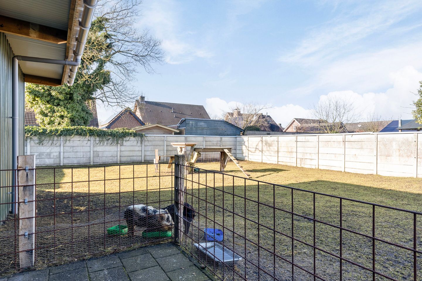 Foto 40 van Schapendreef 23