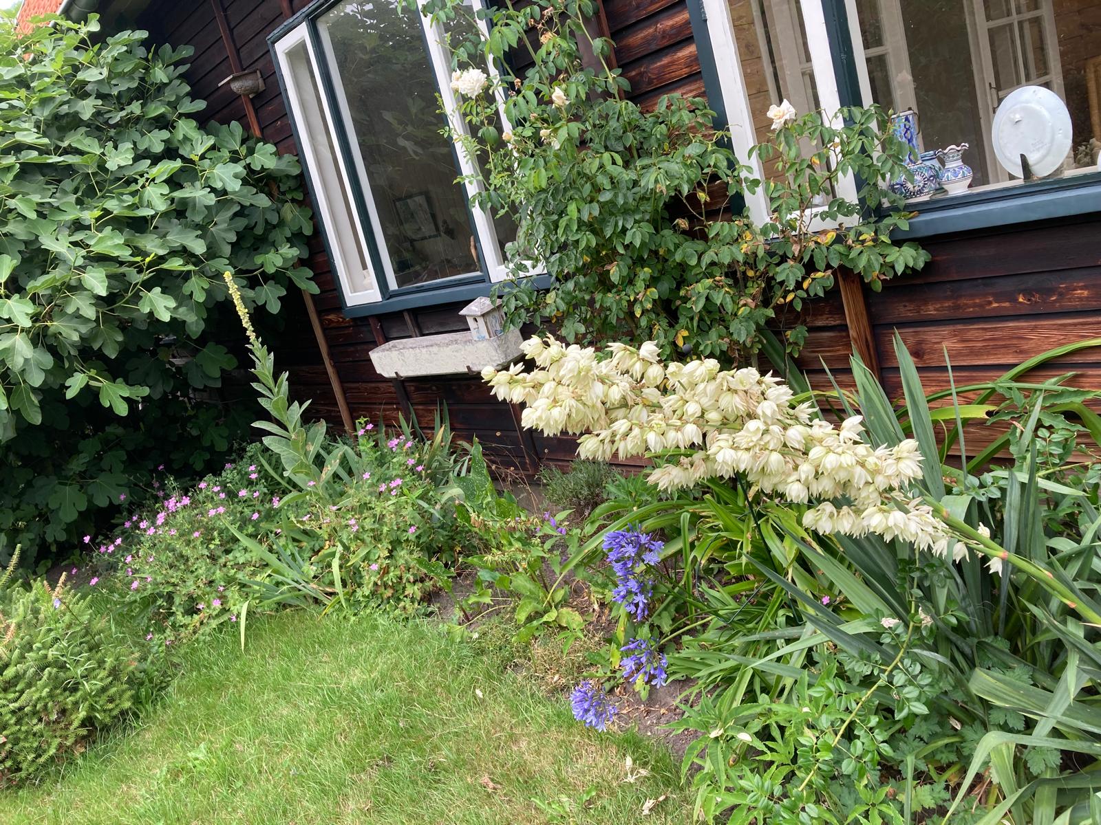 Foto 45 van Herenweg 115