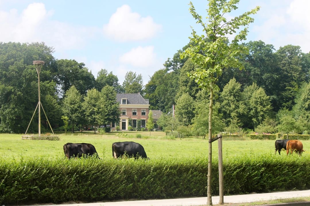 Foto 53 van Herenweg 115