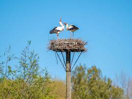 Foto 54 van Herenweg 115