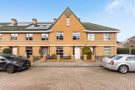 undefined main image