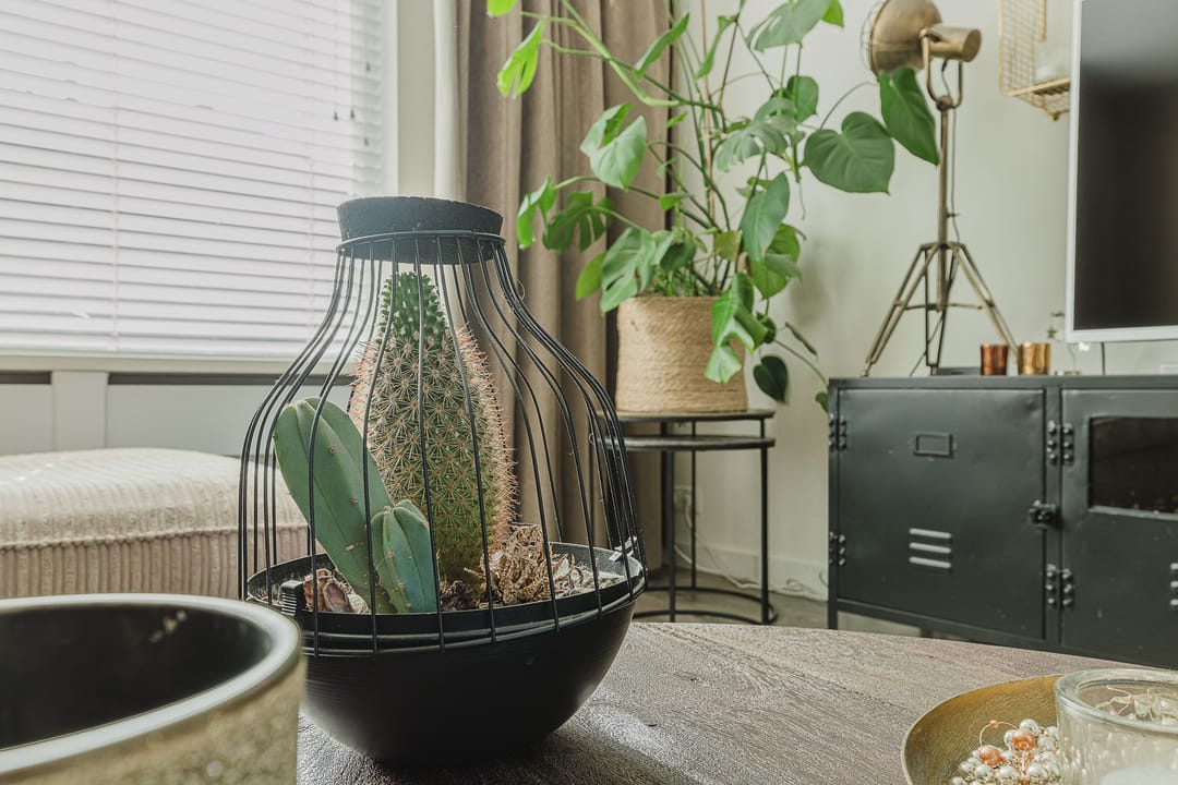 Photo 13 of Kanariestraat 7