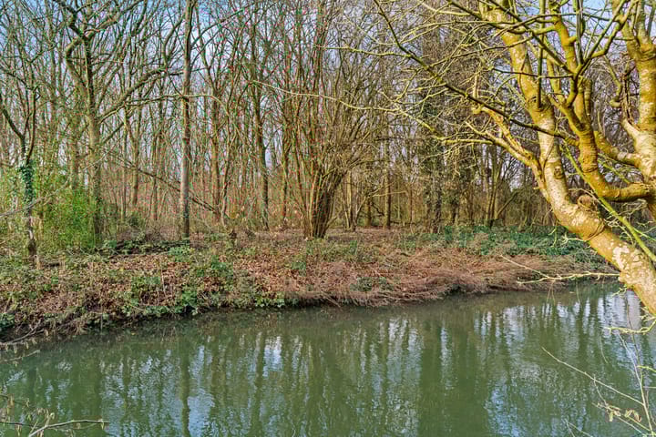 Photo 39 of Wolweverslaan 11