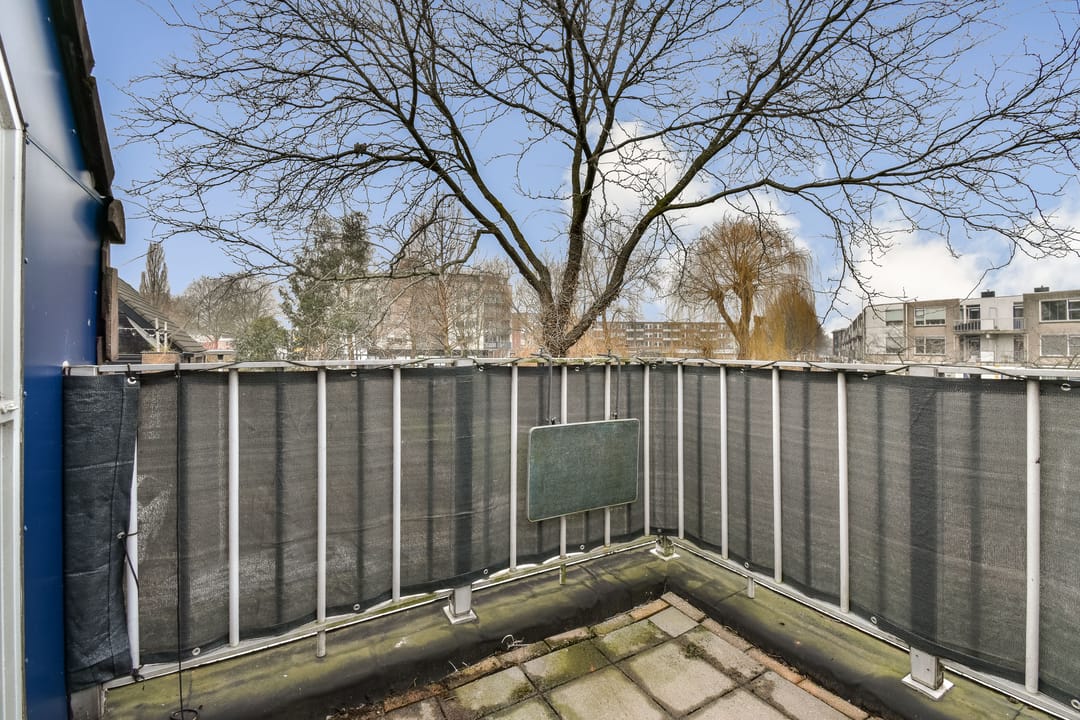 Foto 8 van Soeteliefskamp 56