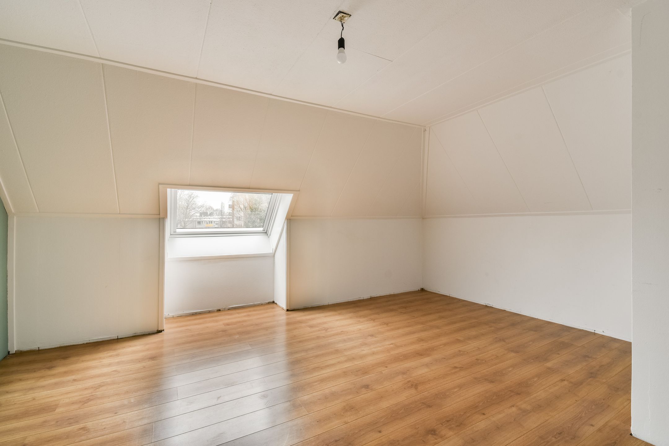 Foto 12 van Soeteliefskamp 56