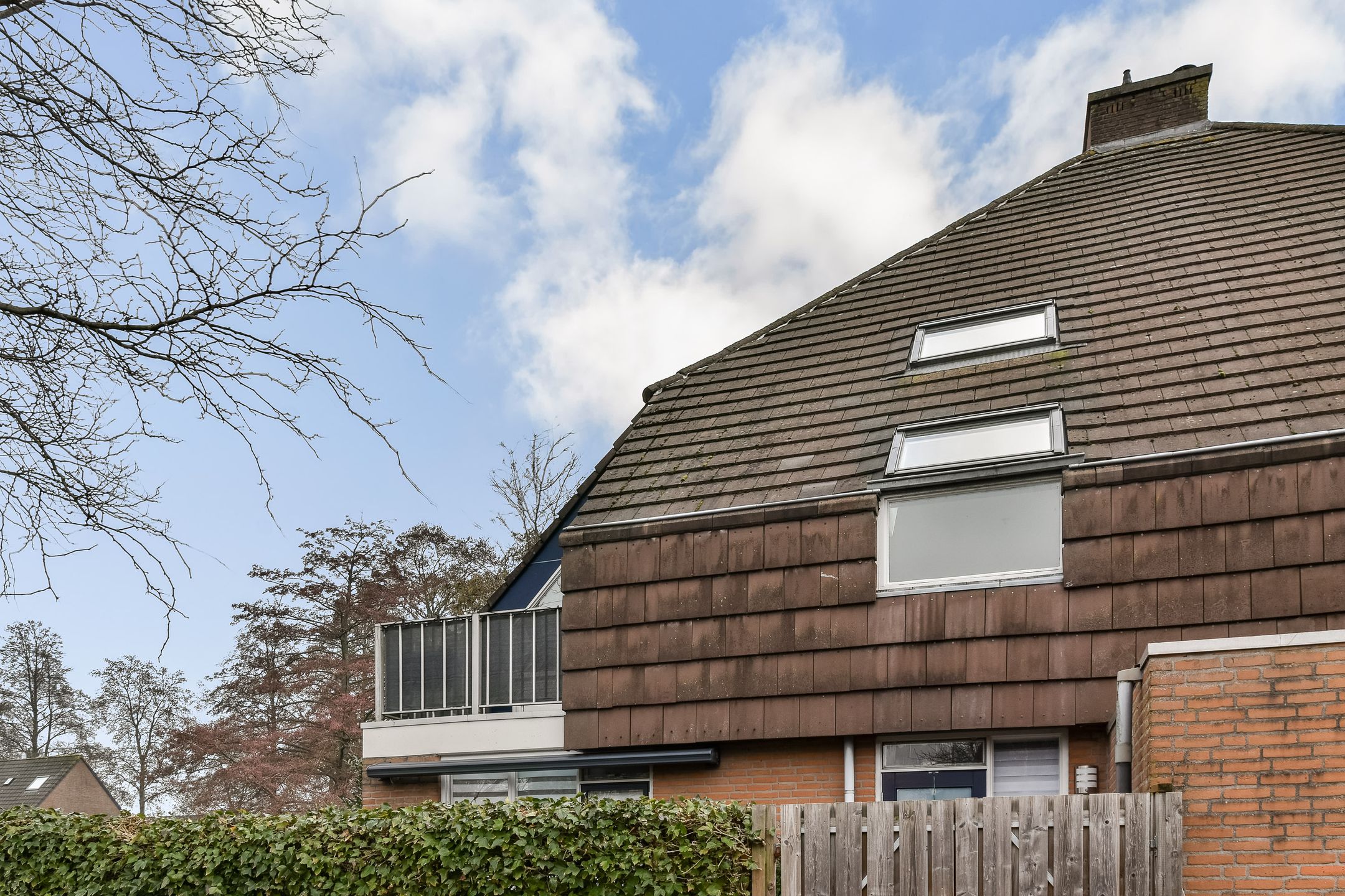 Foto 15 van Soeteliefskamp 56