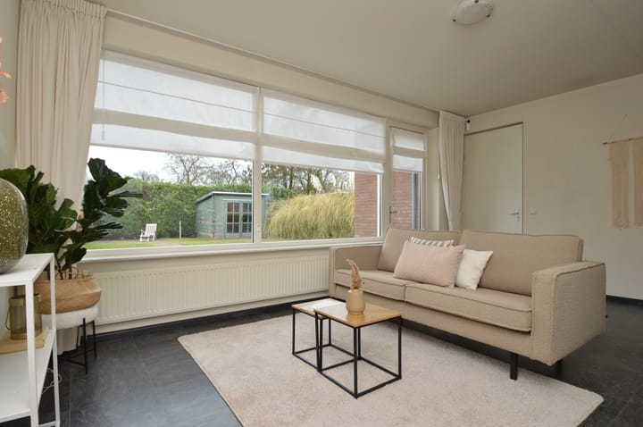 Foto 2 van Balisboom 11-A