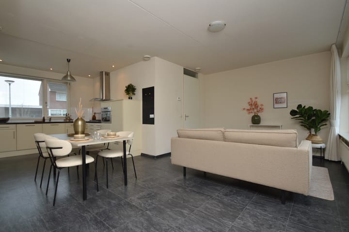 Foto 4 van Balisboom 11-A