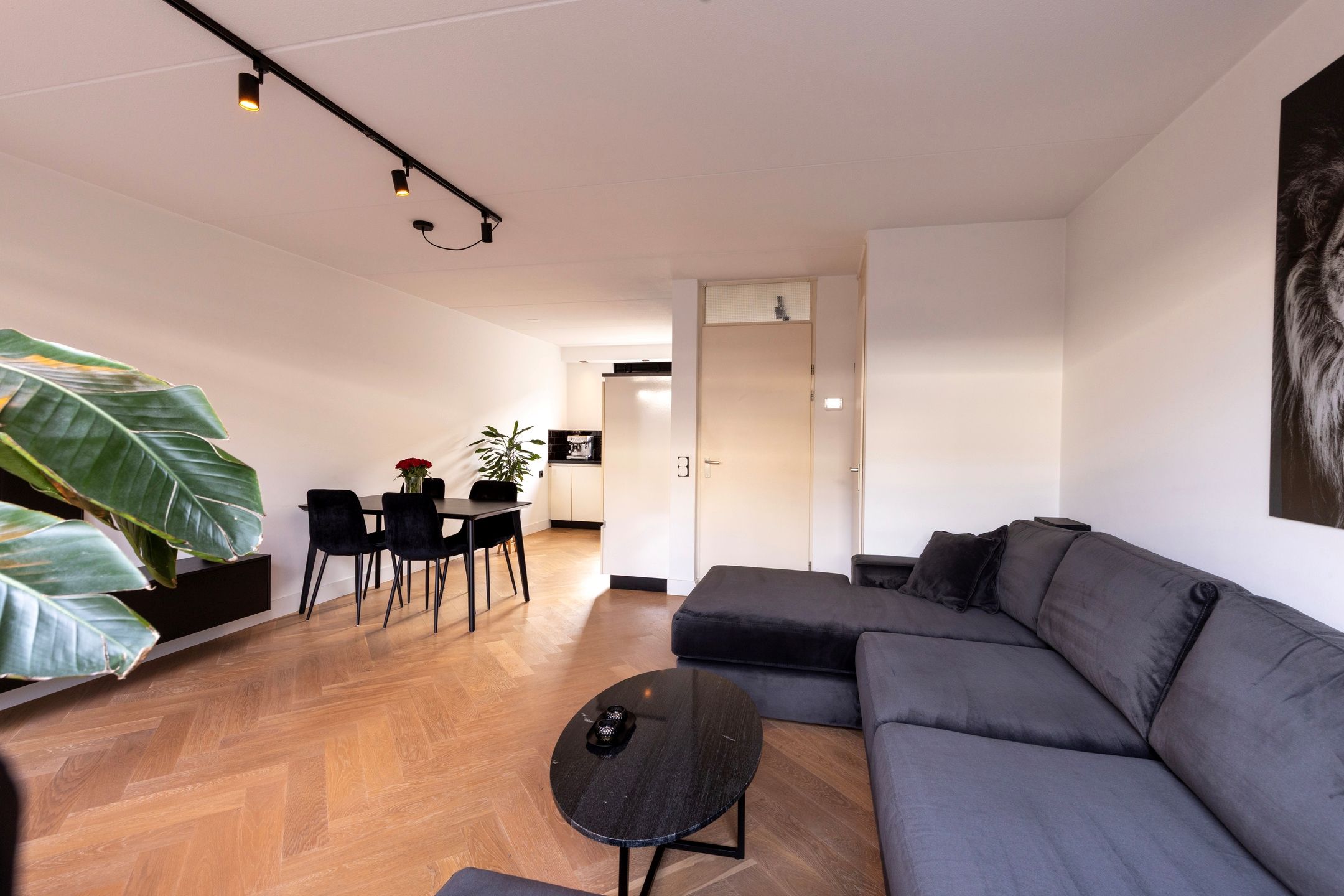 Foto 15 van Waterman 6