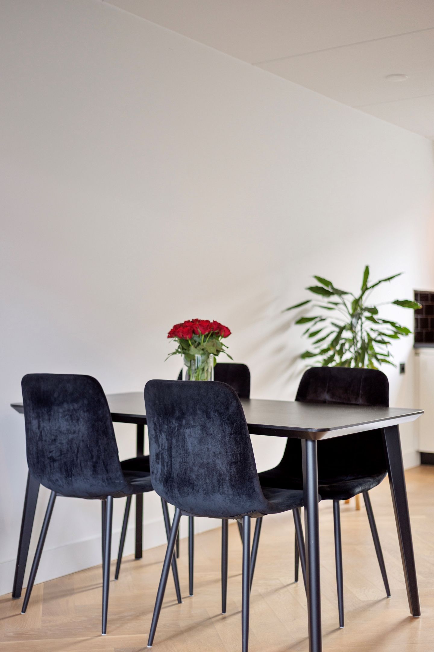 Foto 19 van Waterman 6