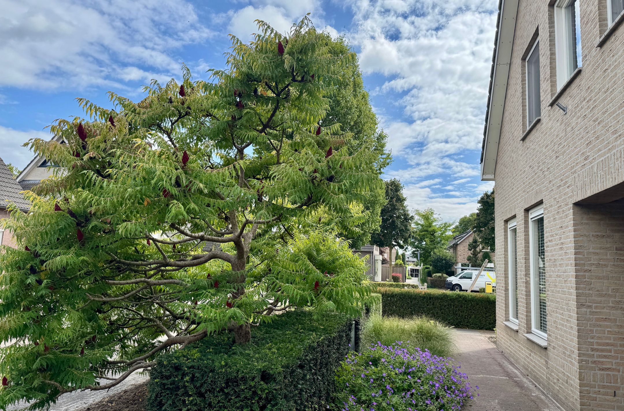 Photo 9 of Hoge Dries 10