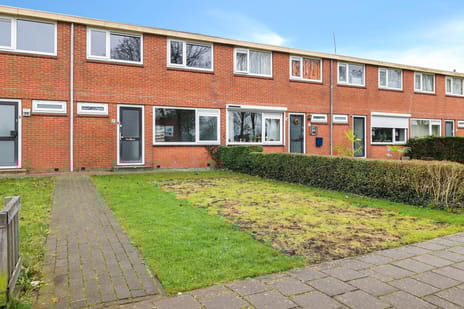 undefined main image