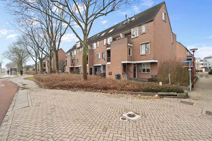 Foto 4 van Druivegaarde 33