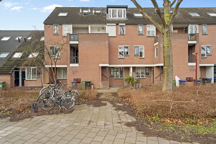 Foto 6 van Druivegaarde 33