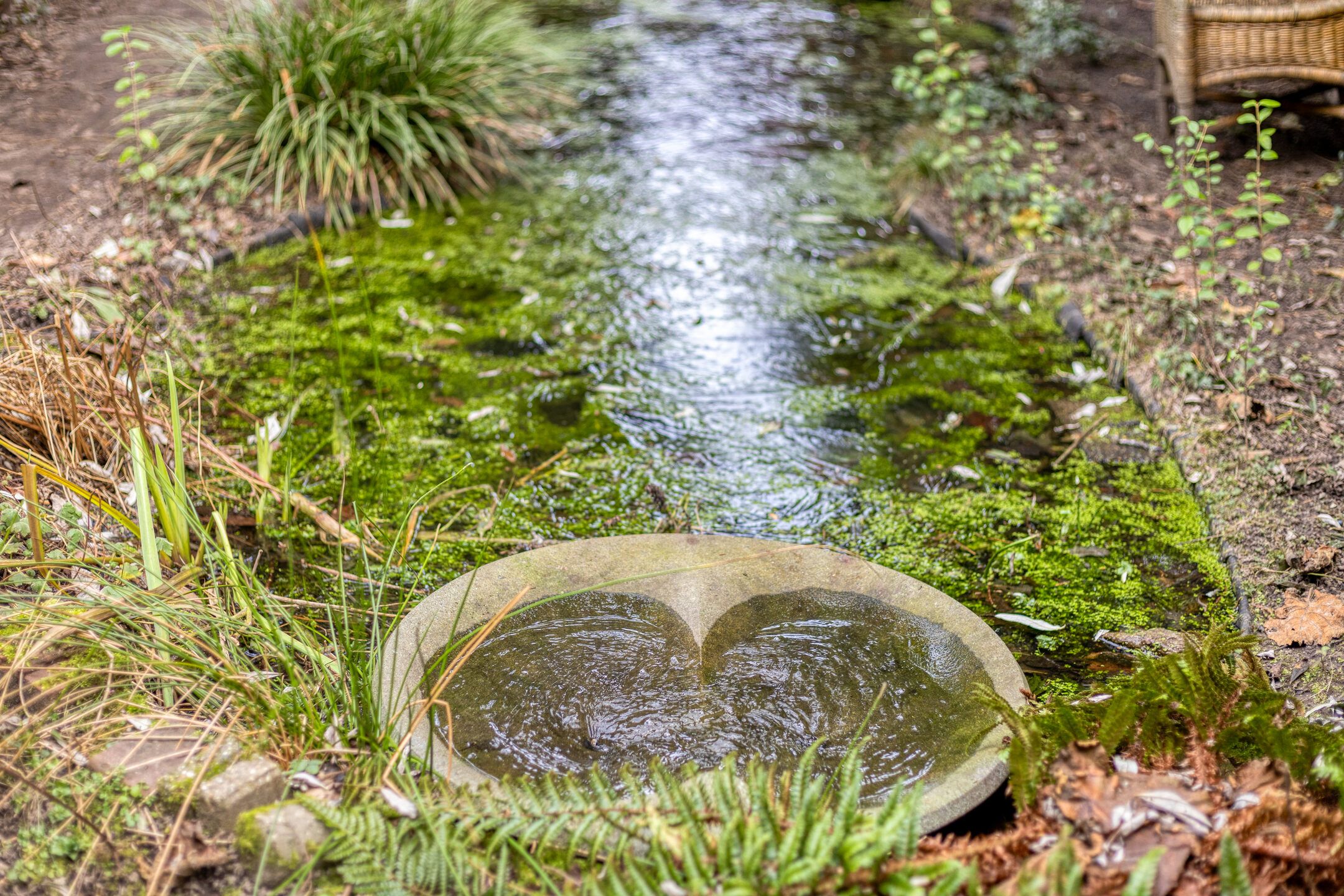 Foto 33 van Breegraven 24