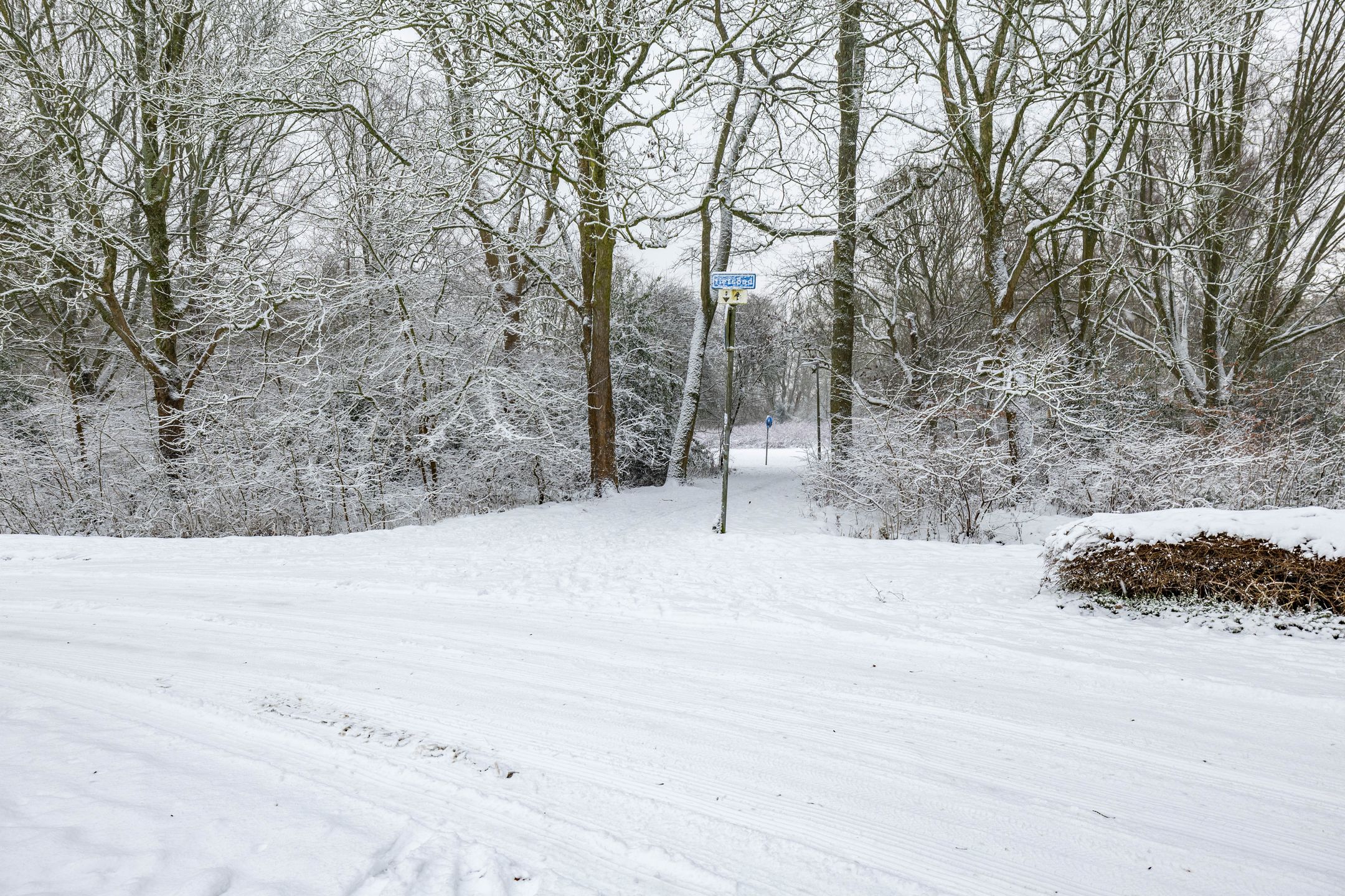 Foto 33 van Onderduikersstraat 18