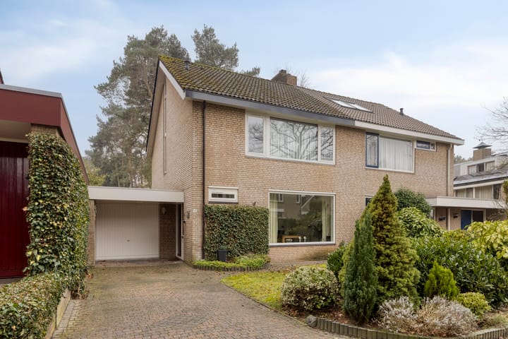 Prof. Dondersstraat 4