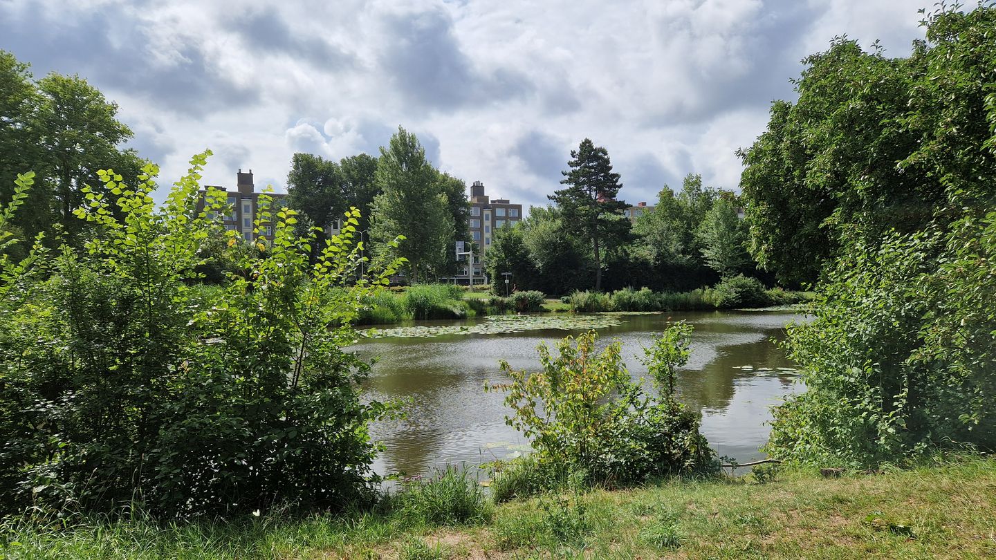 Foto 44 van Berkstraat 8