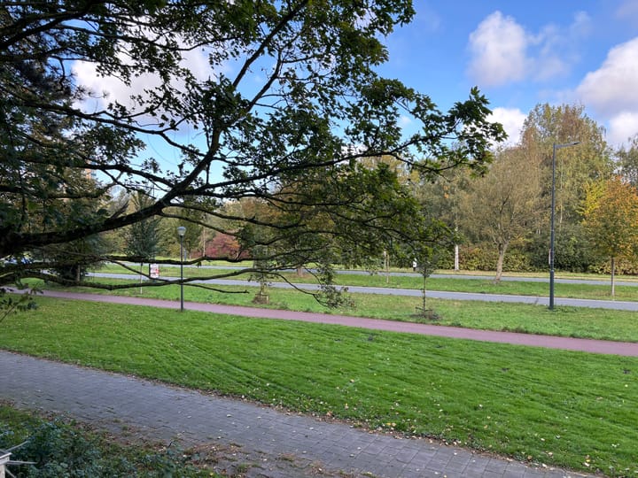 Foto 4 van Texelhof 1