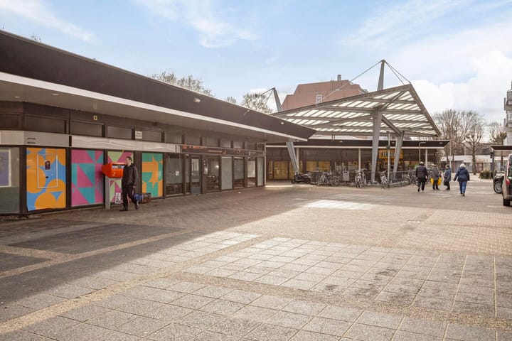 Foto 24 van Roserije 81-C