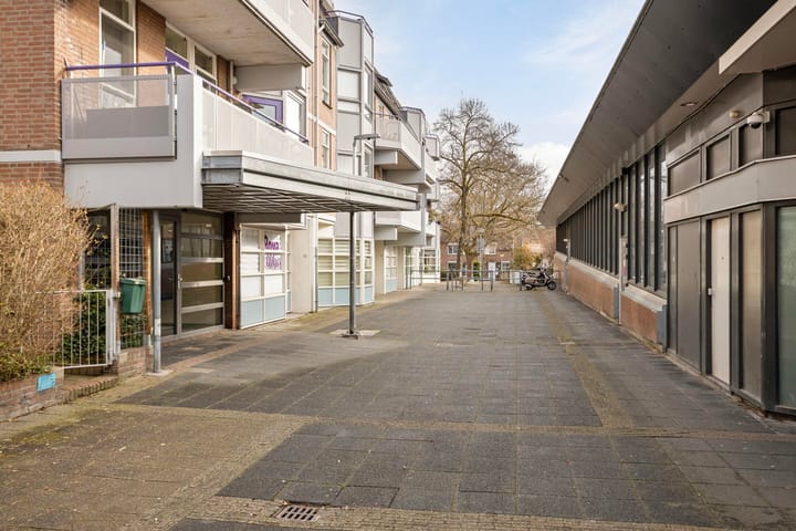 Foto 23 van Roserije 81-C